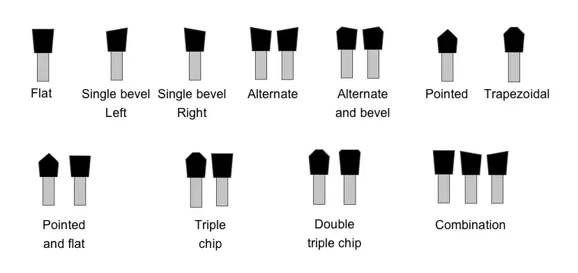 Formes dtandard du dos de la dent